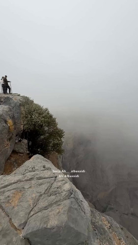 SJWHWjDzH0O2b 4l.jpg