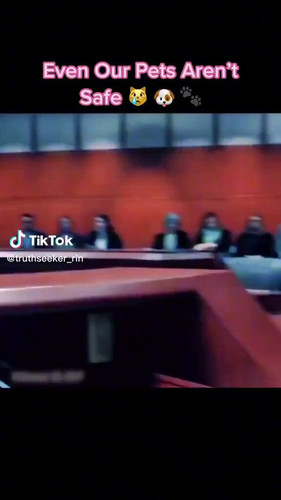 Skzw Q56kI9oo0ii.jpg