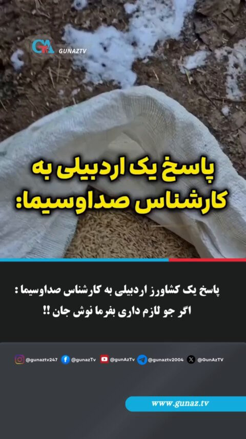 BUtcFMrraJb 2QNn.jpg