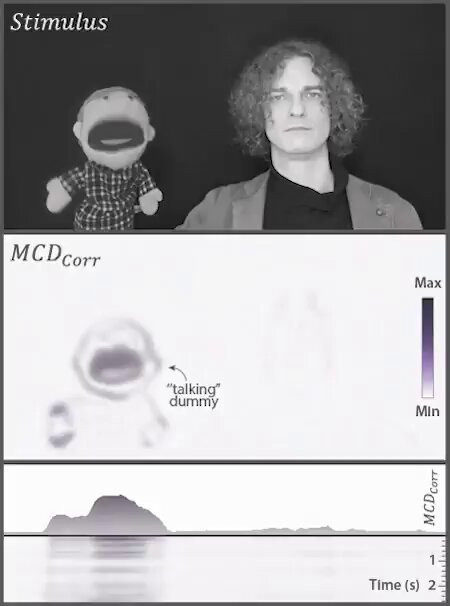 BLq00kQW2qFBbs W.jpg