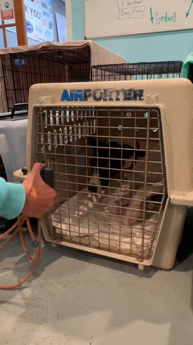 0cWz j8V2hfzN PK.jpg