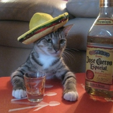 ugc 943937594937124678 690CAE1324AA3157C05F5F79E918305C83F0D721 .png