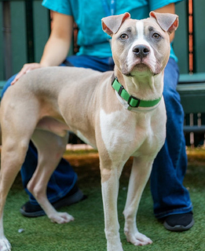 G7 fTQiXAAUGLks?format=jpg.jpg