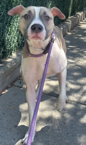 G7 fTSbX0AIEP3X?format=jpg.jpg