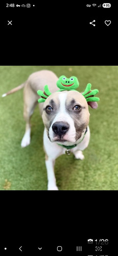 G7wIu90WUAA laZ?format=jpg.jpg