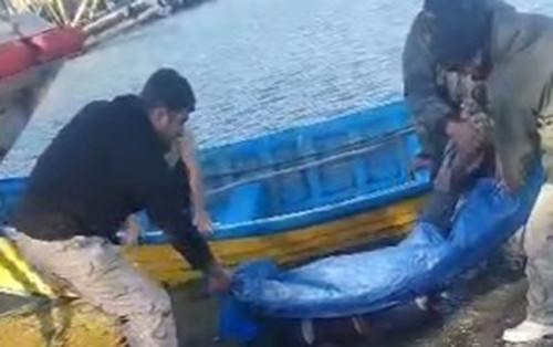 gW2YQ7GP3eSx2S0U901lv0ylfg5iF jPEHMq9sWhPA25YijmT6sni1NKgRhNrznaWl0fQM0LwScuucVKKoEqCzxe94B9AwxAfE67.jpg