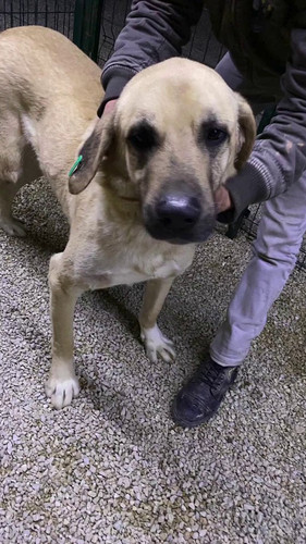 p9MR4SlBTT dQ wg.jpg