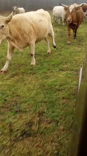 4qMBFnH 27dG9s I.jpg