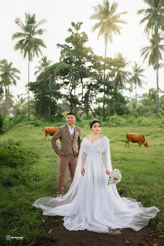 IMG 20251212 WA0001(1).jpg