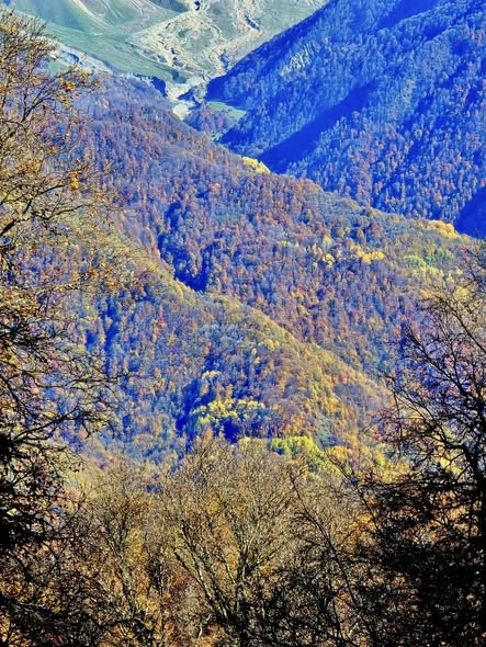 599660463 1281234707380984 5576876879223155482 n.jpg?stp=cp6 dst jpg s590x590 tt6& nc cat=103&ccb=1 .jpg