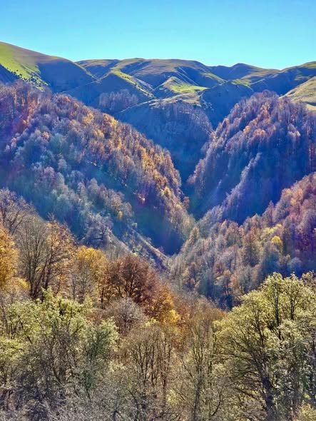 598760271 1281234404047681 1274097674293413055 n.jpg?stp=cp6 dst jpg s590x590 tt6& nc cat=104&ccb=1 .jpg