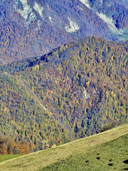 602372074 1281234767380978 112674465863781868 n.jpg?stp=cp6 dst jpg s590x590 tt6& nc cat=103&ccb=1 7.jpg