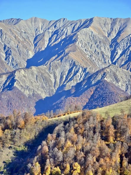 600137147 1281234294047692 8937095132872569380 n.jpg?stp=cp6 dst jpg s590x590 tt6& nc cat=103&ccb=1 .jpg