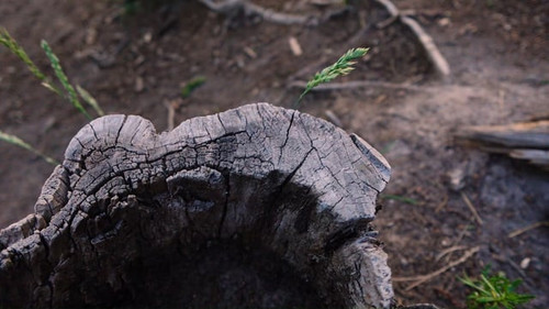 ushered in my 30s spending six days in parque nacional los v0 NHBiaGM4YnllNjhnMbEVIn2x2oGq9xrkW6EVAj.jpg