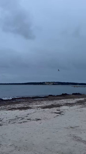 1j4 dMexYg us52J.jpg