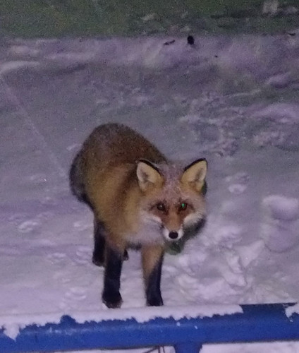 photo 2025 12 19 20 51 23.jpg