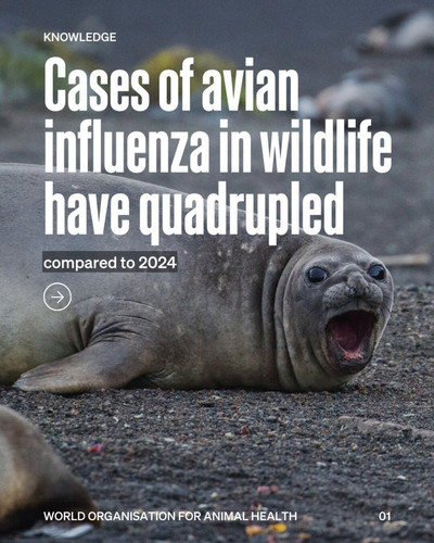 CsXplA 9mt 5O7XX.jpg