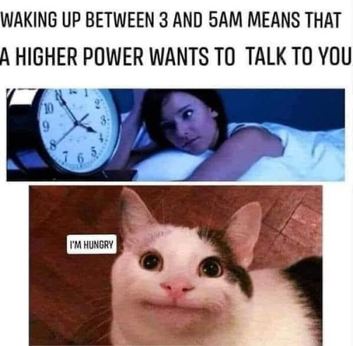 fad93626 b17b 4c1b 9cd0 89d94fd370e5.jpg