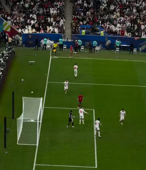 N1EFRXt5 MSIdOG6.jpg