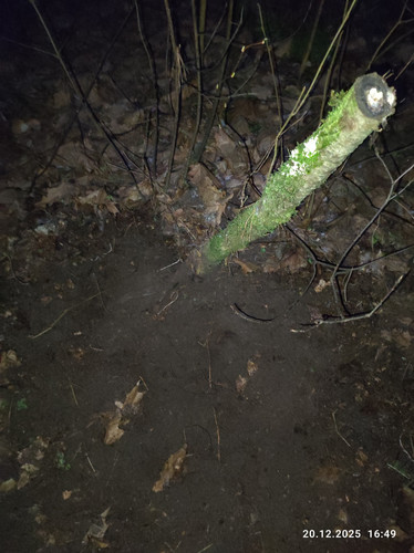 IMG 20251220 164958.jpg