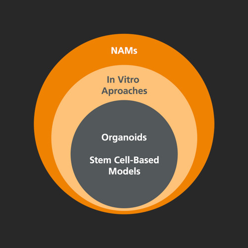 G8jE UaWsAAlNOX?format=jpg.jpg