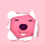 IMG 2677e814bfc44fbb504b.gif