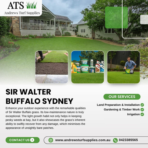 sir walter buffalo sydney.jpg
