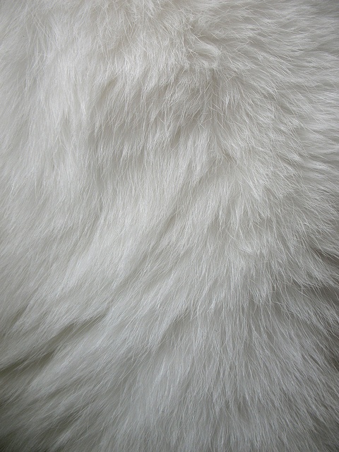 4991675069 2c1d402b5a o.jpg