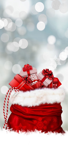 christmas 21.jpg
