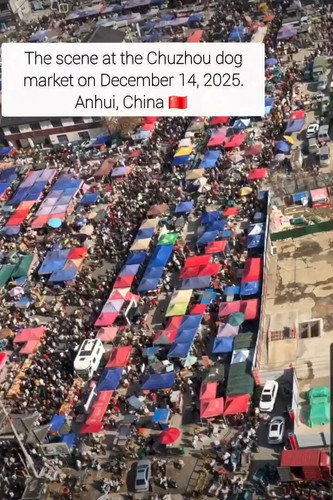 LrZP 1LX G81Exeq.jpg