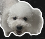 Screenshot 2025 11 20 164106.png