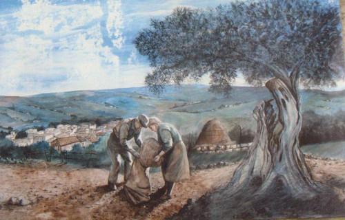 casttellanaulivoecampanile.jpg
