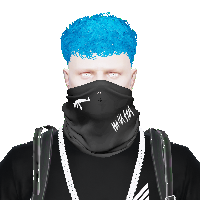 307300767c29.png