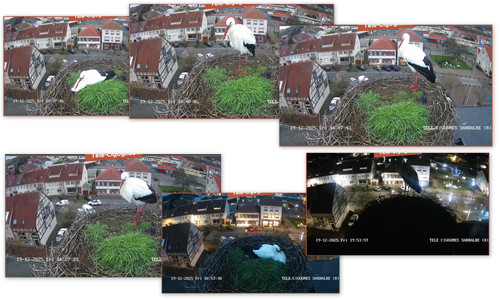 Bilder.jpg