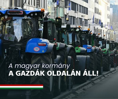 599929260 1401629474752737 5883532699921680916 n.jpg?stp=dst jpg s600x600 tt6& nc cat=103&ccb=1 7& n.jpg