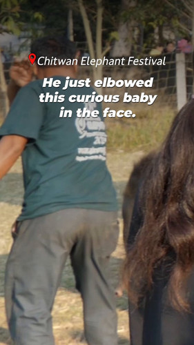 gRTCTU1As4NIvWxI.jpg