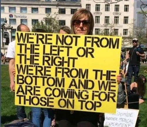 m0tc0e74c78g1.jpg