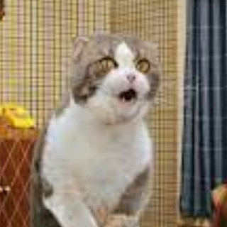 CWMSreZRjasykI0pElpaSmwhw0tEzfHFBlAVmO4fnRK100Z0nwxjR NWDg4FFjVAAa6on 13iesNgNzzCrIJwKvywCs4Wi6gsNaN.jpg