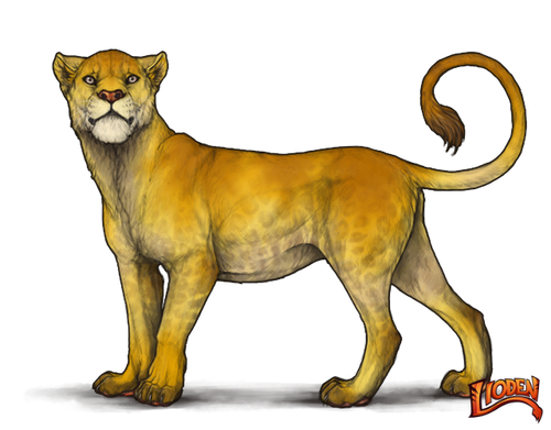 lioden wardrobe (2).png