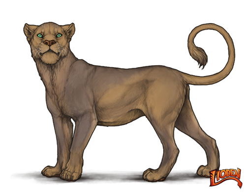 lioden wardrobe (3).png