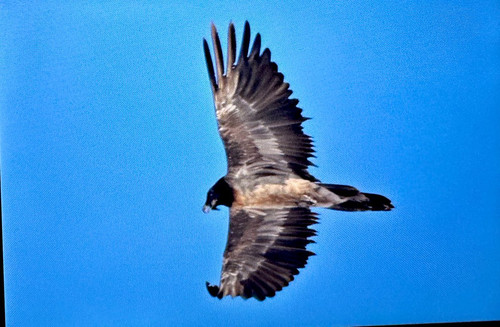 G8pW RtWQAAYjtv?format=jpg.jpg