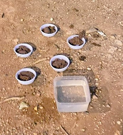 G8koK AXYAAM7rq?format=jpg.jpg