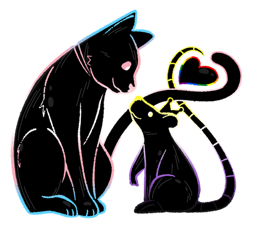 IMG 4033.png