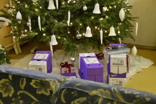 600420237 1262493529032297 831973484511091216 n.jpg?stp=dst jpg s590x590 tt6& nc cat=106&ccb=1 7& nc.jpg