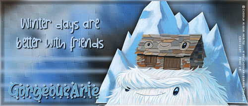 12 14 25 ATP CRM Gorgeous Arie