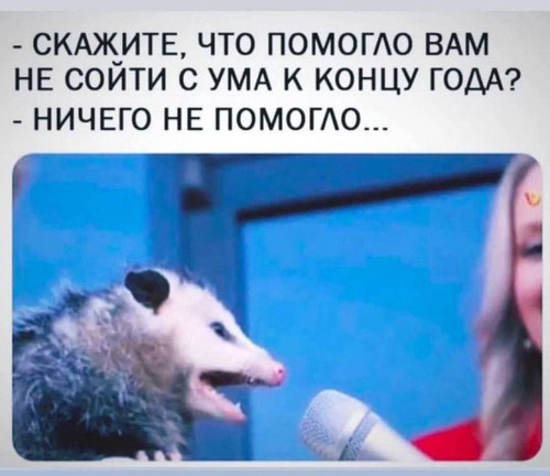 746d2dacafe39042d53278a5d8814a49.jpg
