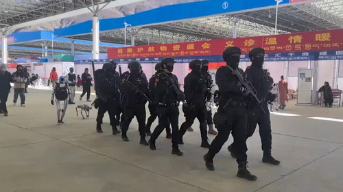 awAMnitad6k1dP z.jpg