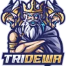 tda web (3).png