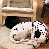 robertogarrdner 2458576532764694854 240321720 2020 12 07