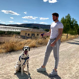 robertogarrdner 2420586936391415302 240321720 1 2020 10 15